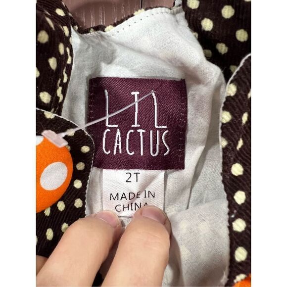 Lil Cactus Thanksgiving Dress 2T - Picture 3 of 5